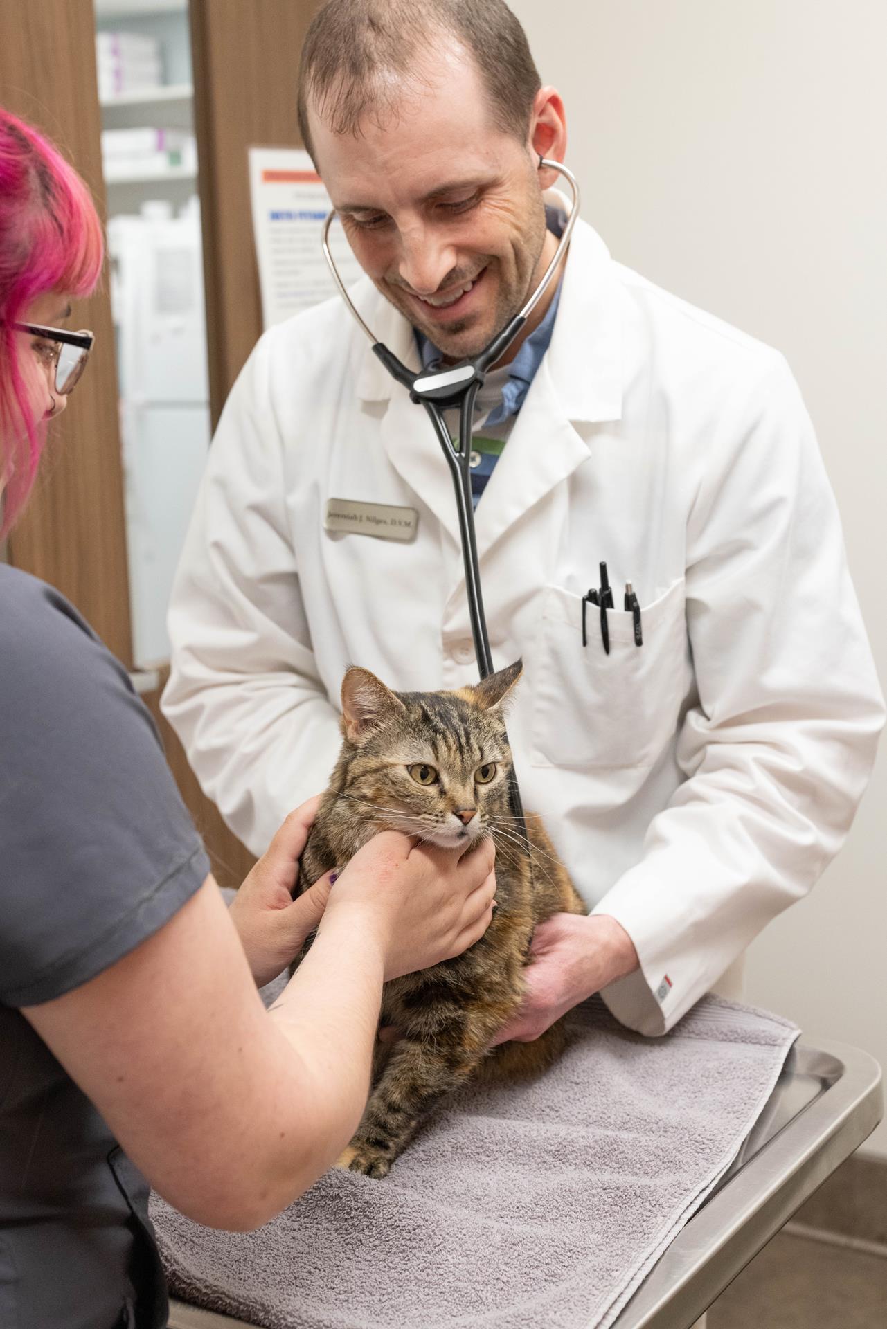 New Clients Piper Heritage Veterinary Clinic